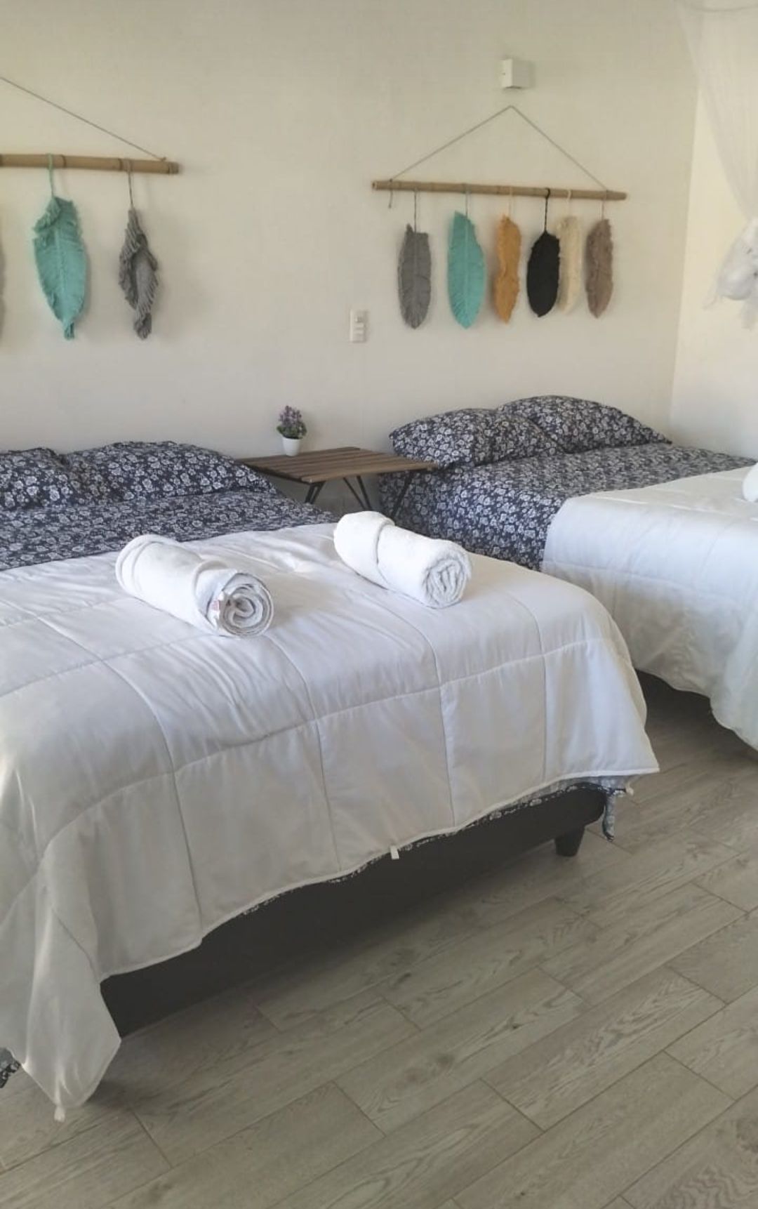 491847539_122165823776579250_1580472847411905446_n